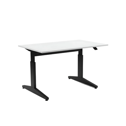 Elevate Standing Desk