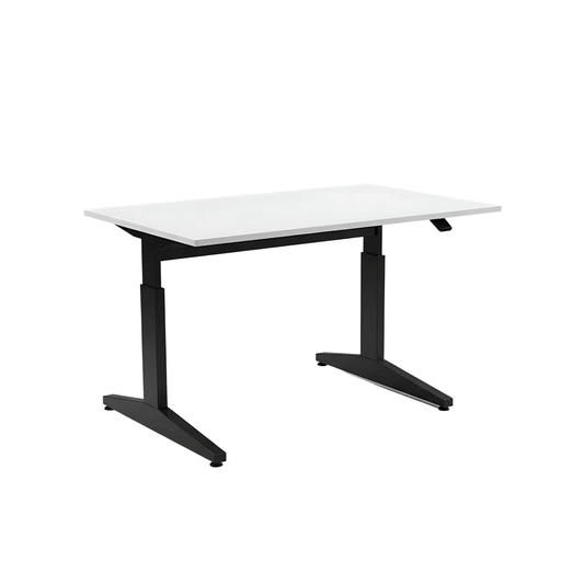 Elevate Standing Desk